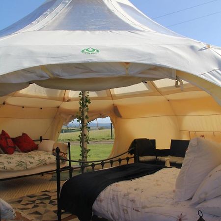 Tal-Y-Fan Farm 6M Stargazer Tent Bridgend  Luaran gambar